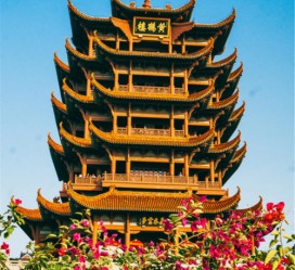博罗武汉游玩攻略(武汉游玩攻略路线)