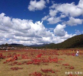 博罗旅游去处(暑期最好的旅游去处)