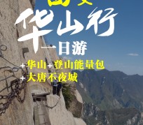 博罗一日游(一日游需要准备些什么东西?)