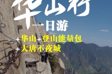 博罗一日游(一日游需要准备些什么东西?)