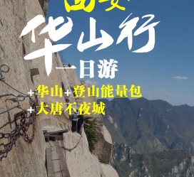 博罗一日游(一日游需要准备些什么东西?)