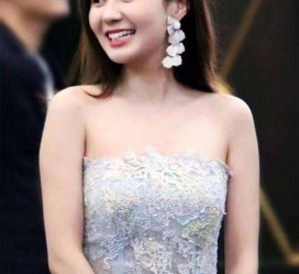 博罗cnbanycom伴游中国明星的简单介绍