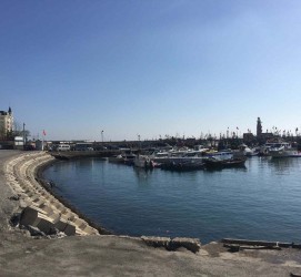博罗大连旅游攻略(大连旅游攻略自由行)