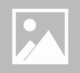 博罗商务伴游招聘 不法分子冒充宾馆网上高薪招吧女要求思想前卫