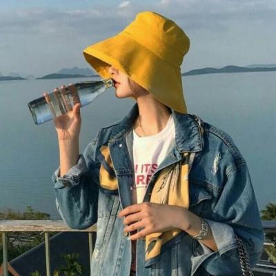 博罗让伴游为你导游，尽享玩耍的乐趣